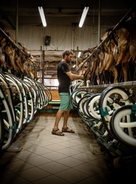 Photo Thomas VANDAELE